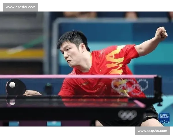 波尔对决樊振东跨时代乒乓巅峰之战引爆赛场关注世界舞台传奇碰撞