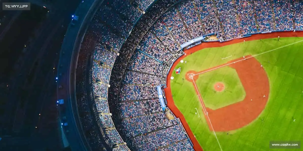 我们的核心竞争力